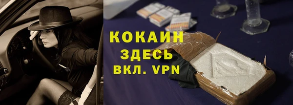 крисы Алзамай