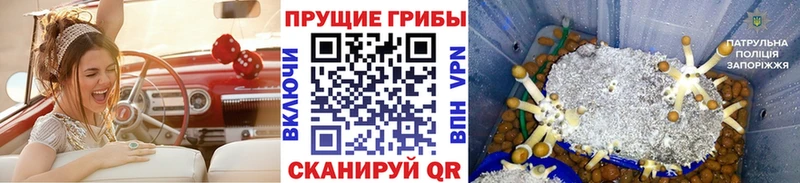 Галлюциногенные грибы прущие грибы Яблоновский