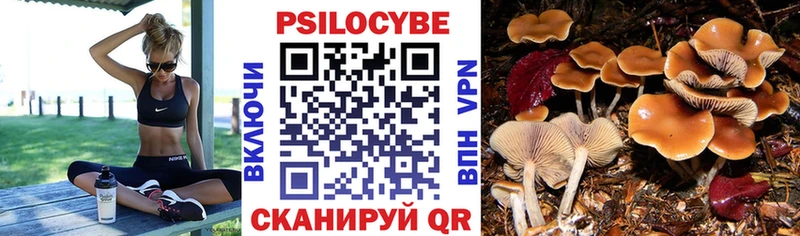 blacksprut ссылки  Яблоновский  Псилоцибиновые грибы прущие грибы 